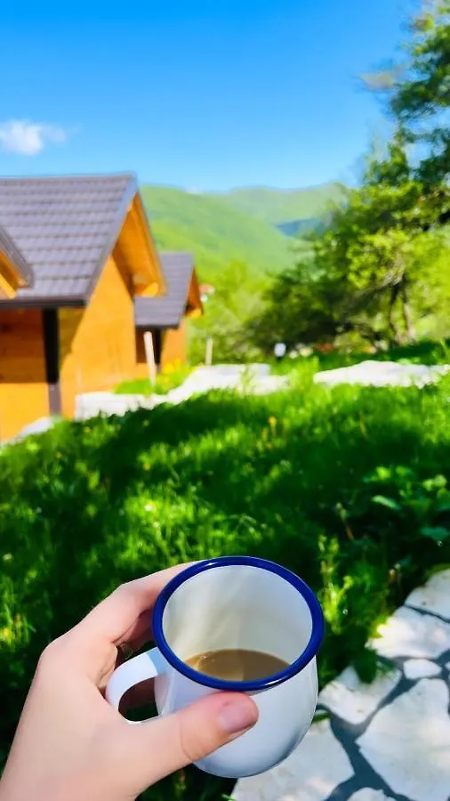 Bujtina Tradicionale Hotel Lepushe 0*,  Albania