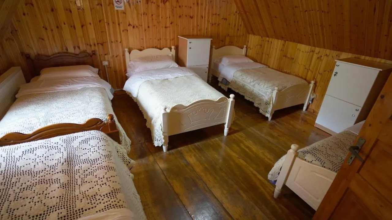 Bujtina Tradicionale Hotel Lepushe 0*,  Albania
